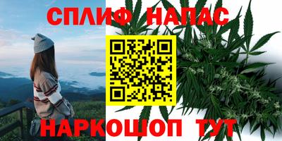 трава Балахна