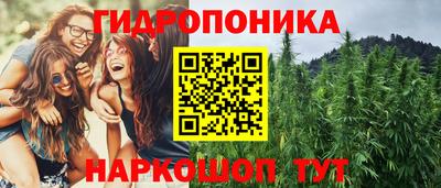 трава Балахна