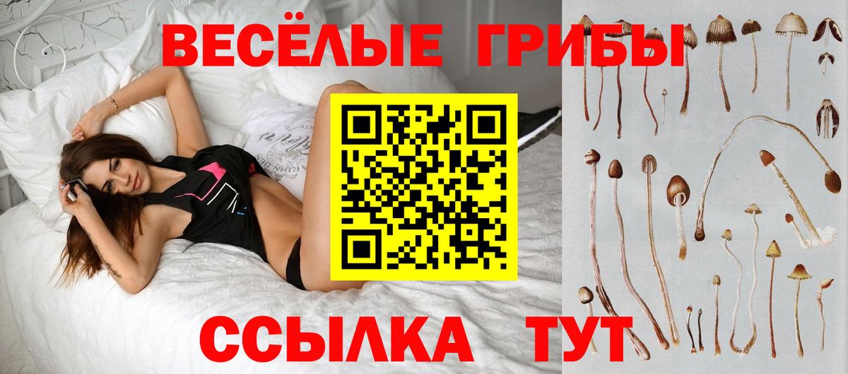 Гуково  Галлюциногенные грибы мицелий  Галлюциногенные грибы мухоморы  Вход с VPN 